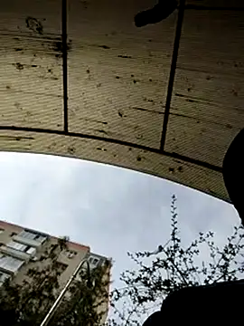 Snapshot of J0nyhson chatting on March 23, 2025, 7:31 am J0nyhson online show from March 23, 2025, 7:31 am