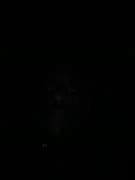 Annonymous607 online show from November 9, 2025, 8:07 am