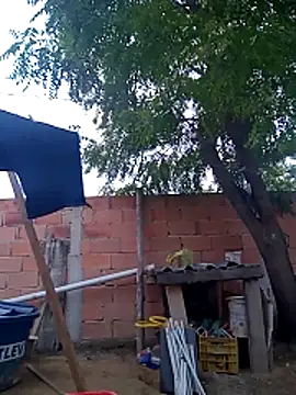 magrinhosafadao online show from October 28, 2025, 8:46 am