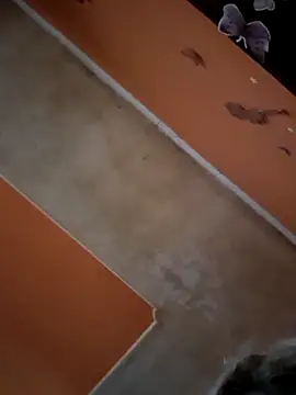 ducicsajsziii online show from November 29, 2025, 2:17 pm