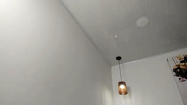 Snapshot of dolly_zoe chatting on February 13, 2026, 4:56 am dolly zoe online show from February 13, 2026, 4:56 am