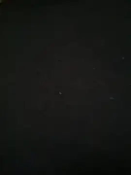 Ruby bear online show from March 8, 2025, 8:55 am