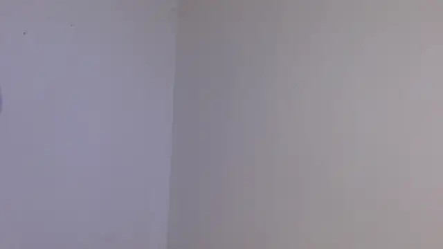 king  Black online show from November 10, 2025, 4:28 am