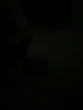 EleonoraMora86 online show from February 14, 2026, 2:12 am