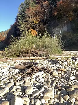 artXhibitor online show from October 18, 2025, 2:30 pm