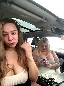 Snapshot of AurorHarris chatting on December 3, 2024, 10:56 am AurorHarris online show from December 3, 2024, 10:56 am