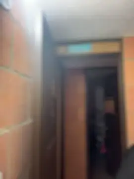 Sachi Meow online show from February 14, 2026, 11:54 am