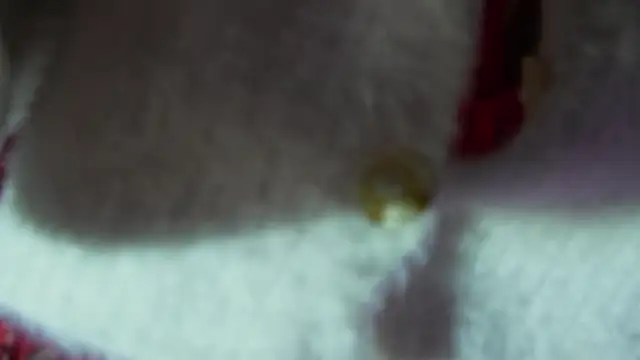 Snapshot of BOOLOCHKAA chatting on December 30, 2024, 2:51 pm BOOLOCHKAA online show from December 30, 2024, 2:51 pm