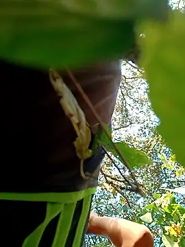 Snapshot of JrCXXIV chatting on January 8, 2026, 11:11 pm JrCXXIV online show from January 8, 2026, 11:11 pm