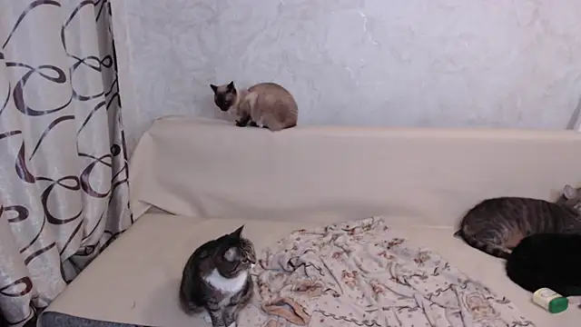 Olivia Winston online show from October 27, 2025, 10:54 pm