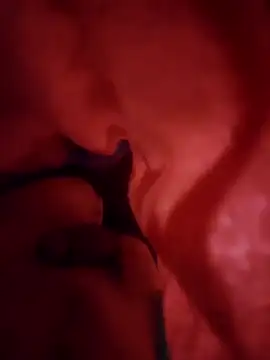 Veer555 online show from February 4, 2025, 3:44 am