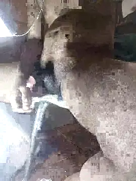 Goodman4usexy online show from March 10, 2026, 11:53 pm