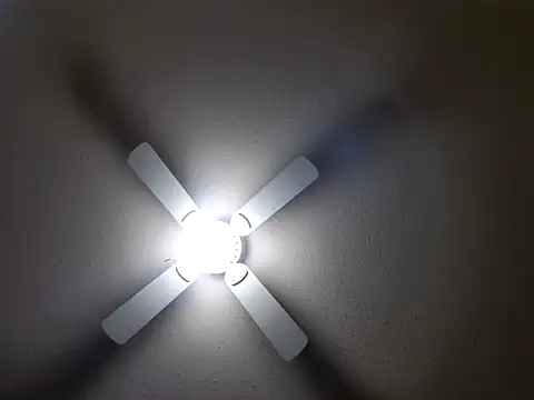 EXOTICLEXXXI online show from January 26, 2025, 7:31 pm