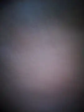 BarbudoSP35 online show from November 9, 2025, 9:46 am