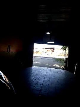 hecwil8 online show from October 31, 2025, 11:51 am