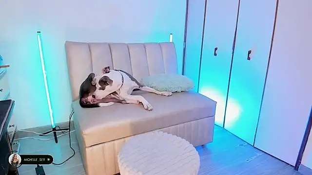 Michelle se online show from April 15, 2026, 9:59 pm