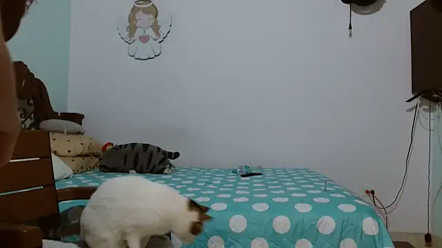 jazzhot13 online show from January 26, 2025, 11:18 pm