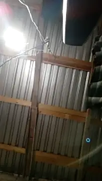 Moreno1813 online show from November 5, 2025, 6:05 am