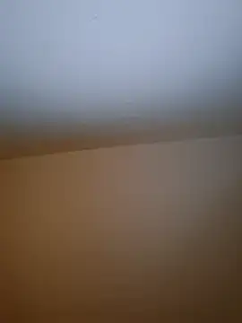 Snapshot of molozeb chatting on December 19, 2025, 8:55 pm molozeb online show from December 19, 2025, 8:55 pm