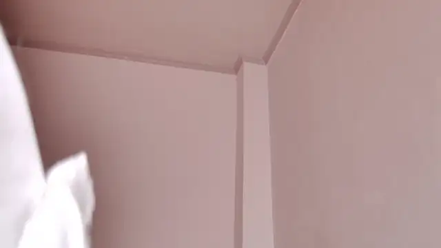 Snapshot of caarlywhitee chatting on February 12, 2026, 1:49 am caarlywhitee online show from February 12, 2026, 1:49 am