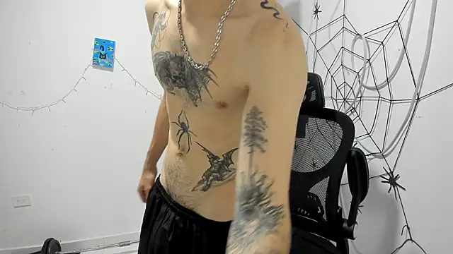 Snapshot of DmitriSanders chatting on February 20, 2026, 10:33 pm DmitriSanders online show from February 20, 2026, 10:33 pm