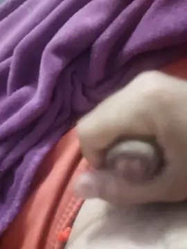 dredre1069 online show from February 2, 2026, 3:05 am