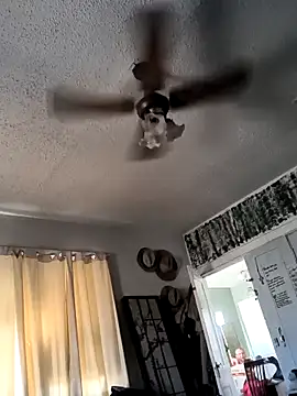 Snapshot of TexaSMESS_37 chatting on February 27, 2026, 9:58 pm TexaSMESS 37 online show from February 27, 2026, 9:58 pm