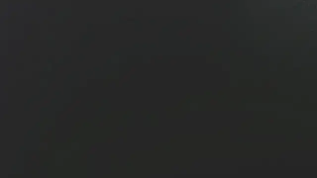 Dogz n daugthers online show from February 2, 2025, 3:21 am