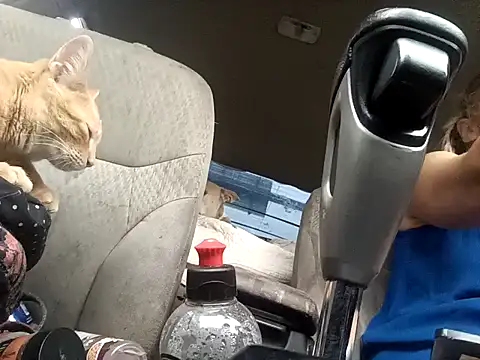 SexyB214 online show from April 25, 2026, 4:26 pm