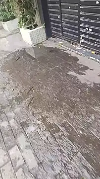 Snapshot of UncutToyBoy23cm chatting on March 13, 2025, 2:01 pm UncutToyBoy23cm online show from March 13, 2025, 2:01 pm