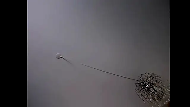 Pegg-fist-me online show from October 29, 2025, 1:48 am