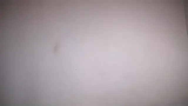 Snapshot of Osiiriis chatting on February 12, 2025, 1:06 pm Osiiriis online show from February 12, 2025, 1:06 pm