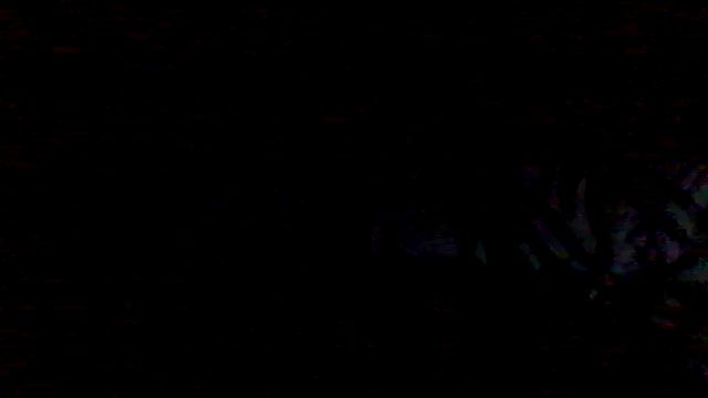 Pourquoipas online show from July 28, 2026, 8:34 pm