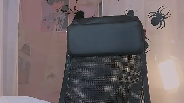 ELLIEJAY online show from November 1, 2025, 5:14 am