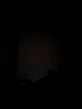 Berinjela20 online show from February 2, 2026, 5:17 am