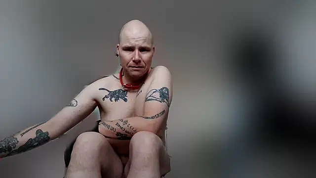 Snapshot of gaywolf426 chatting on February 19, 2026, 8:33 am gaywolf426 online show from February 19, 2026, 8:33 am