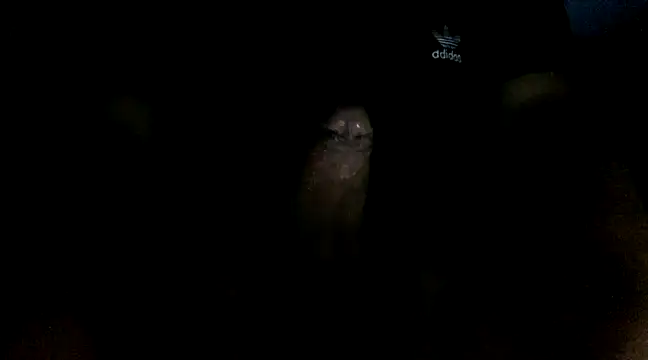 jceszzz online show from March 4, 2025, 4:06 am