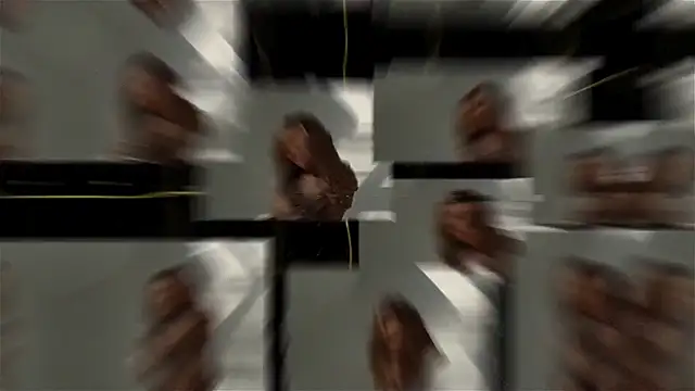 seilyfox online show from September 25, 2025, 7:47 am