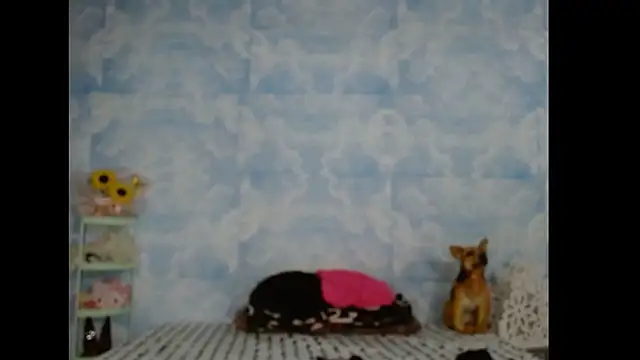 Snapshot of Valerii_Gil chatting on March 3, 2026, 7:37 am Valerii Gil online show from March 3, 2026, 7:37 am