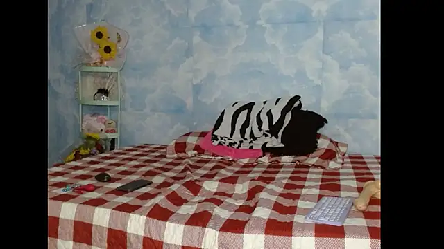 Snapshot of Valerii_Gil chatting on February 19, 2026, 11:45 pm Valerii Gil online show from February 19, 2026, 11:45 pm