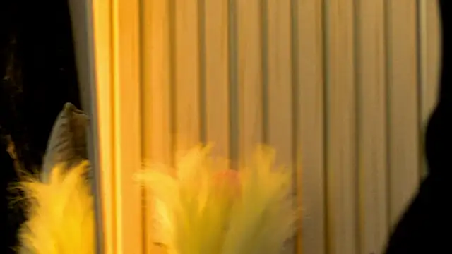 Snapshot of MiaCharm chatting on February 2, 2026, 9:36 pm MiaCharm online show from February 2, 2026, 9:36 pm