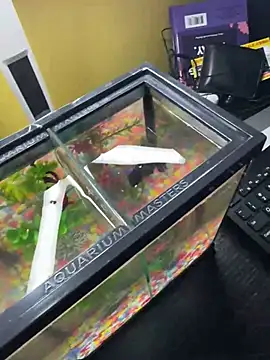 Snapshot of VFuck4U_xxx chatting on March 10, 2025, 1:21 pm VFuck4U xxx online show from March 10, 2025, 1:21 pm