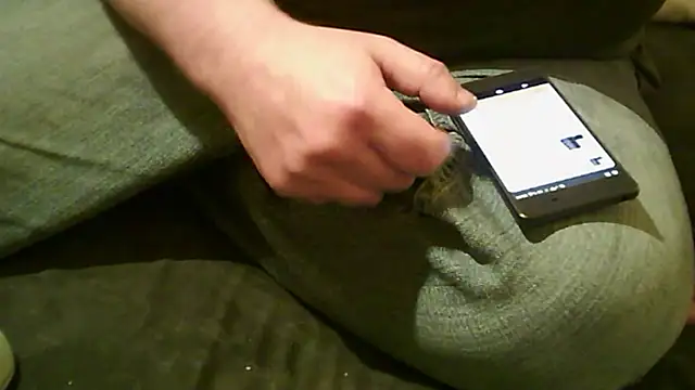 vimilili online show from October 31, 2025, 7:54 pm