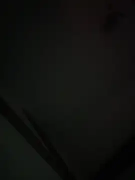 Snapshot of Xcum28 chatting on February 2, 2025, 12:02 pm Xcum28 online show from February 2, 2025, 12:02 pm