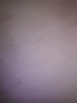 edygaucho3 online show from September 26, 2025, 12:45 pm