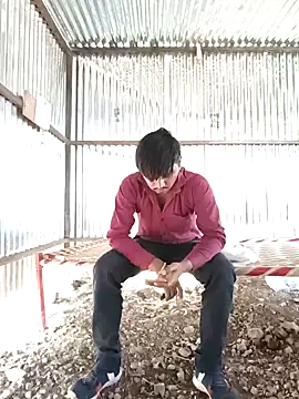 Kartik bbc indian online show from December 13, 2024, 9:57 am