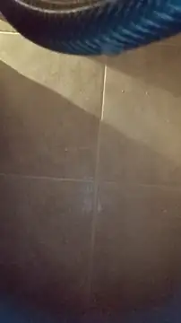 whitetrashdirtyslut online show from December 4, 2025, 3:16 am