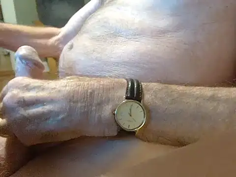 Snapshot of lasseoldman chatting on November 25, 2025, 4:29 pm lasseoldman online show from November 25, 2025, 4:29 pm