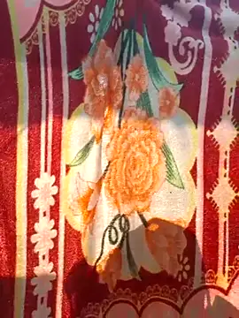 Snapshot of Burhade-- chatting on January 5, 2025, 9:48 am Burhade-- online show from January 5, 2025, 9:48 am