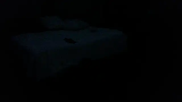 iBoneher69 online show from November 30, 2025, 1:45 pm